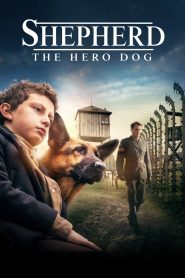 Shepherd: The Hero Dog 2020
