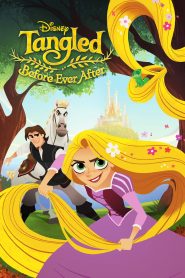 Tangled: Before Ever After 2017