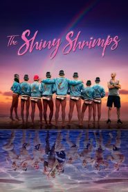 The Shiny Shrimps 2019