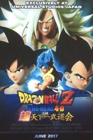 Dragon Ball Z: The Real 4-D at Super Tenkaichi Budokai 2017