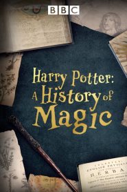 Harry Potter: A History Of Magic 2017