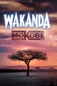 Wakanda 2018