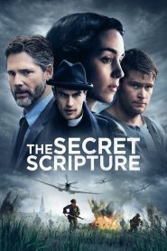 The Secret Scripture 2017