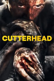 Cutterhead 2019