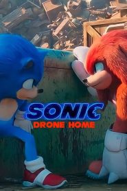 Sonic Drone Home 2022