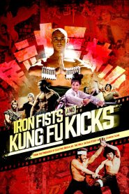 Iron Fists and Kung Fu Kicks 2019