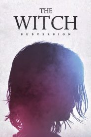 The Witch: Part 1. The Subversion 2018