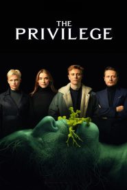 The Privilege 2022