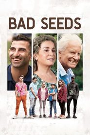 Bad Seeds 2018