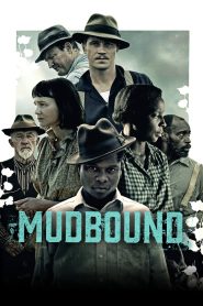 Mudbound 2017