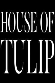 House of Tulip 2023