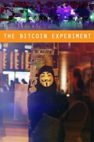 The Bitcoin Experiment 2015