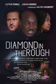Diamond in the Rough 2019