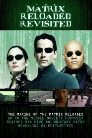 The Matrix Reloaded Revisited 2004