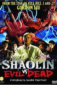 Shaolin vs. Evil Dead 2004